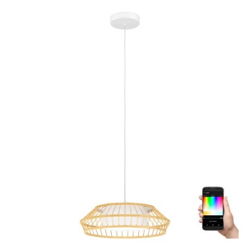 Eglo - Dimmbare LED-RGBW-Hängeleuchte LED/22W/230V 2700-6500K