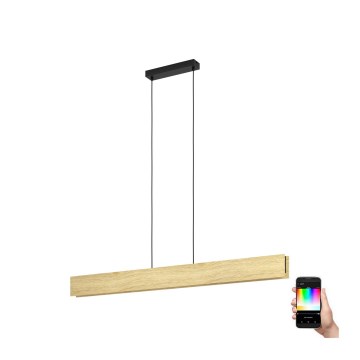 Eglo - Dimmbare LED-RGBW-Hängeleuchte LED/35W/230V 2700-6500K