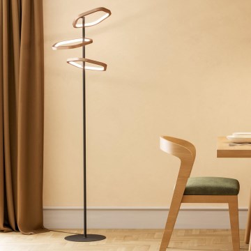 Eglo - dimmbare LED Stehleuchte LED/20W/230V Messing