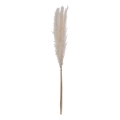Eglo - Getrocknete Blume 70 cm weiß