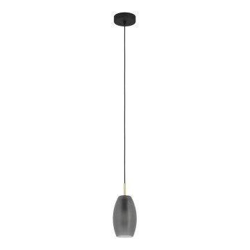 Eglo - Hängeleuchte an Kabel 1xE27/40W/230V