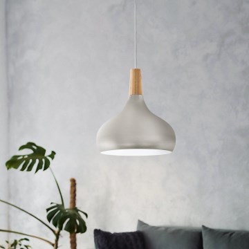 Eglo - Hängeleuchte mit Kabelaufhängung, 1x E27/60W/230V, Ø 28 cm, silber