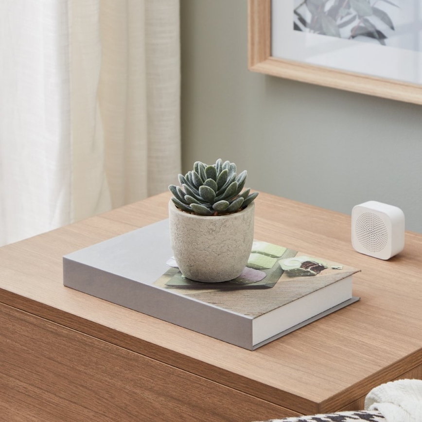 Eglo - Künstliche Pflanze im Blumentopf 11x8 cm Sukkulent