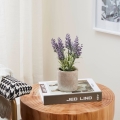 Eglo - Künstliche Pflanze im Blumentopf 22x8 cm Lavendel