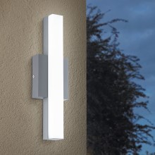 Eglo - LED Außenleuchte 1xLED/8W/230V