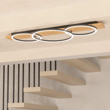 Eglo - LED Deckenleuchte 2xLED/12W/230V + 1xLED/12W