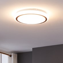 Eglo - LED-Deckenleuchte LED/14,6W/230V