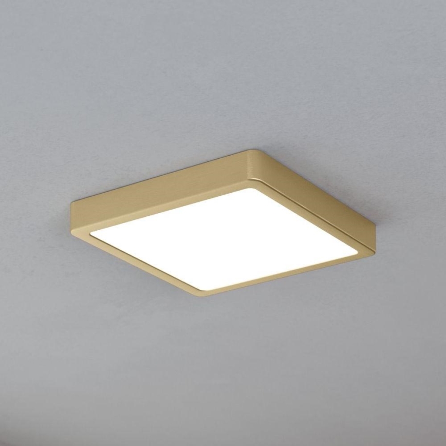 Eglo - LED-Deckenleuchte LED/17W/230V 21x21 cm