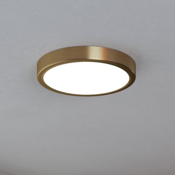Eglo - LED Deckenleuchte LED/17W/230V Ø 21 cm
