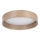 Eglo - LED-Deckenleuchte LED/24W/230V