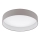Eglo - LED Deckenleuchte LED/24W/230V