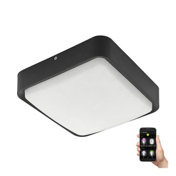 Eglo - LED dimmbares Außen-Deckenleuchte LED/14,6W/230V