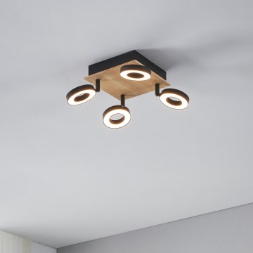 Eglo - LED-Einbaustrahler 4xLED/4,2W/230V schwarz/braun