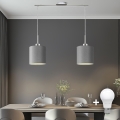 Eglo - LED Hängeleuchte an Kabel TUNJA 2xE27/60W/230V grau