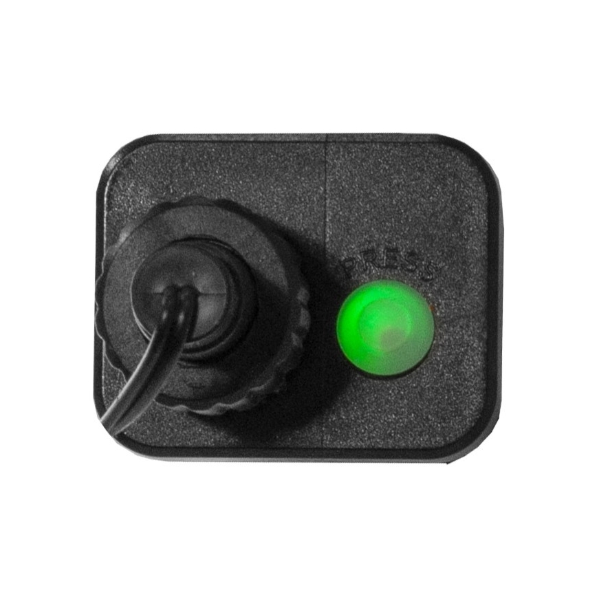 Eglo - LED Outdoor Weihnachtskette MINI 300xLED/8 Funktionen 11m IP44 multicolor