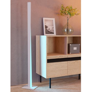 Eglo - LED RGBW dimmbare Stehleuchte LED/10,5W/230V + LED/15,2W grau