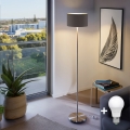 Eglo - LED Stehlampe TUNJA 1xE27/60W/230V mattchrom/braun