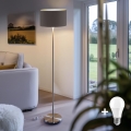 Eglo - LED Stehlampe TUNJA 1xE27/60W/230V mattchrom/braun