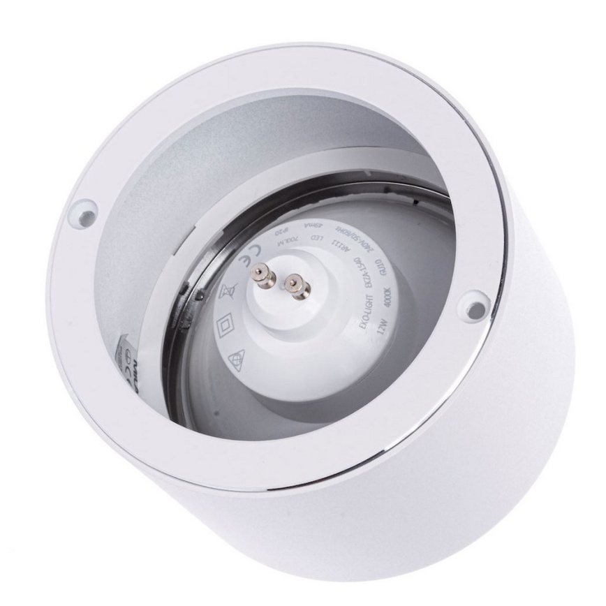 Einbaubeleuchtung REDONDO 1xAR111 - GU10/12W/230V