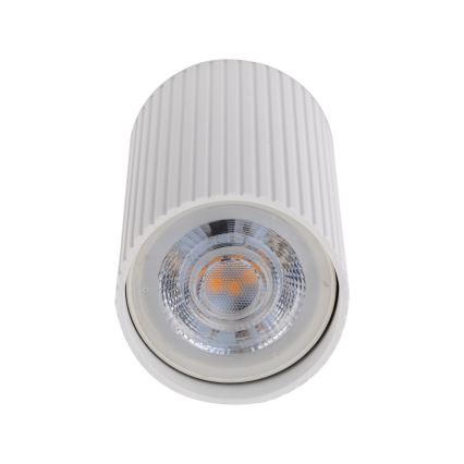 Einbaustrahler TUNE S 1xGU10/10W/230V 10 cm weiß