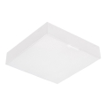 Emithor 63217 - LED‑Deckenleuchte SURFACE LED/20W/230V