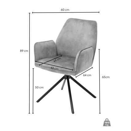 Esszimmerstuhl NEXORO, 1 Stück, anthrazit