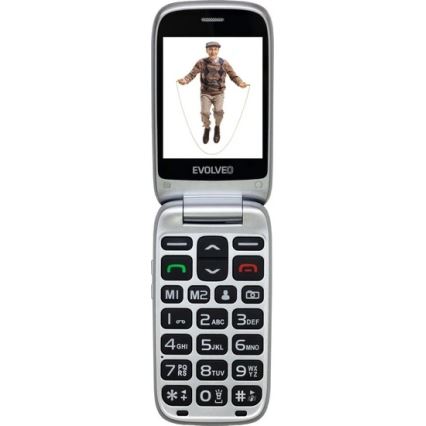 Evolveo - EasyPhone FS Klapphandy für Senioren 2.8 rot