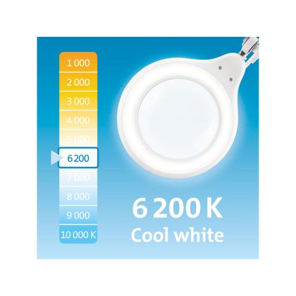 Extol - LED-dimmbare Schreibtischlampe mit Lupe LED/10W/230V weiß