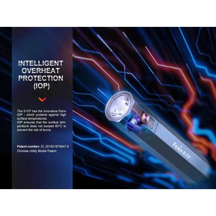 Fenix ECPBLCK - Aufladbare LED-Taschenlampe mit Powerbank USB IP68 1600 glänzend 504 h 5000 mAh schwarz