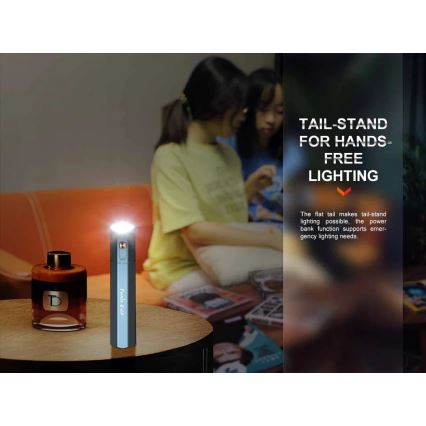 Fenix ECPBLCK - Aufladbare LED-Taschenlampe mit Powerbank USB IP68 1600 glänzend 504 h 5000 mAh schwarz