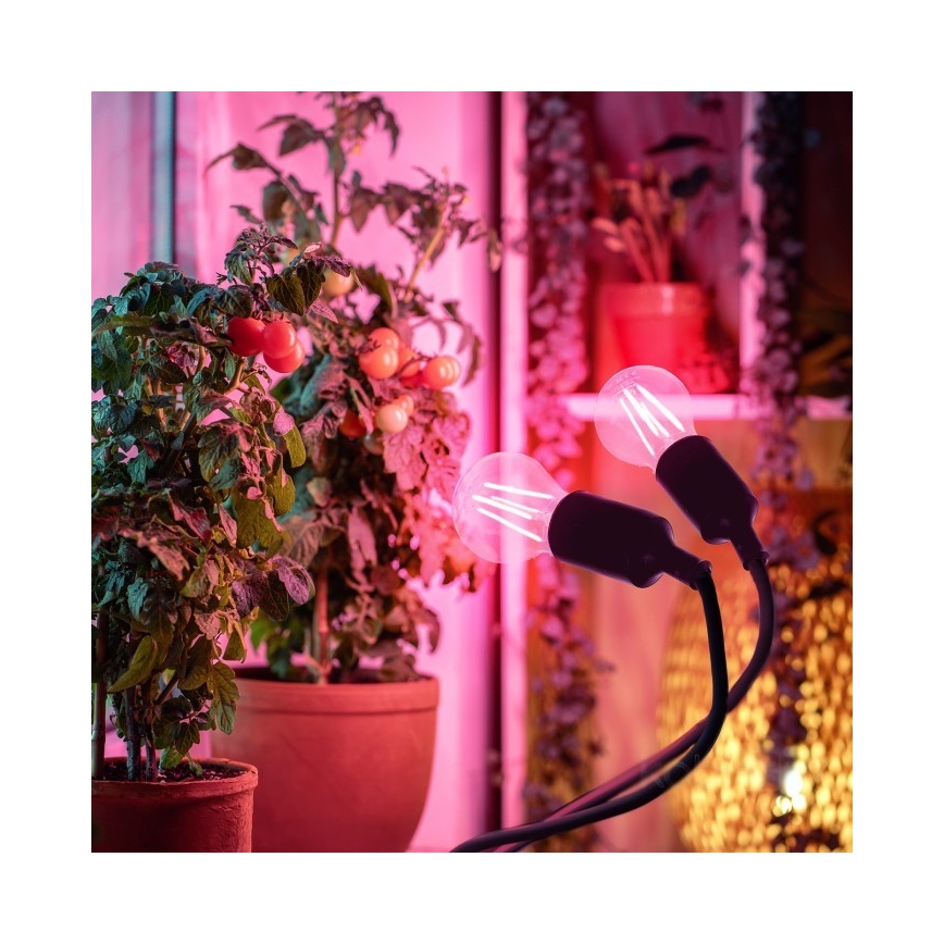 Flexibler Tischlampen-Klemmleuchte für Pflanzenzucht PLANTY 2xE27/30W/230V schwarz