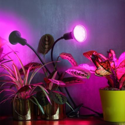 Flexibler Tischlampen-Klemmleuchte für Pflanzenzucht PLANTY 2xE27/30W/230V schwarz