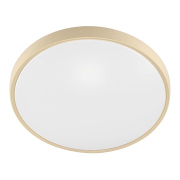 Fulgur 27480 - Rahmen mit Diffusor für die Deckenleuchte VERA 420 GOLD