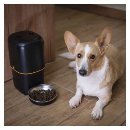 Futterautomat 4 l/5V/3xD schwarz Wi-Fi