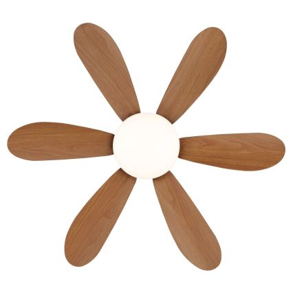 Globo - LED dimmbarer Deckenventilator LED/5W/230V 2700-6500K braun + Fernbedienung