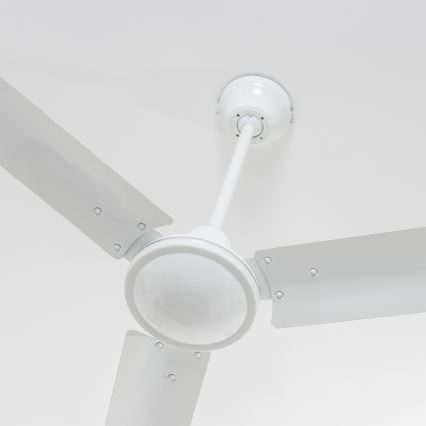 Globo 03806 - Deckenventilator FERRO