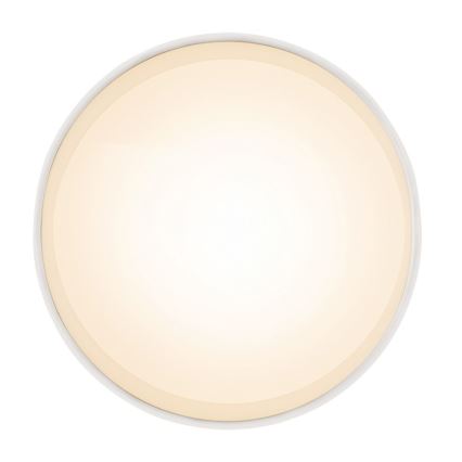Globo 12015W - LED Deckenleuchte JENNY LED/8W/230V