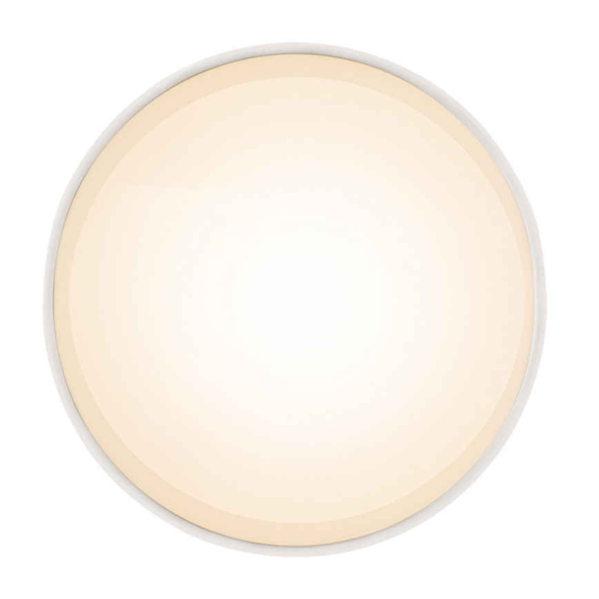 Globo 12015W - LED Deckenleuchte JENNY LED/8W/230V