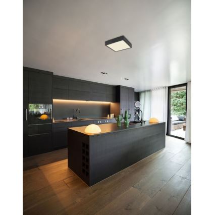 Globo - LED Deckenleuchte LED/15W/230V