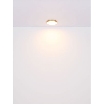 Globo - LED-Deckenleuchte LED/15W/230V d 25 cm