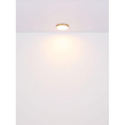 Globo - LED-Deckenleuchte LED/22W/230V d 35 cm