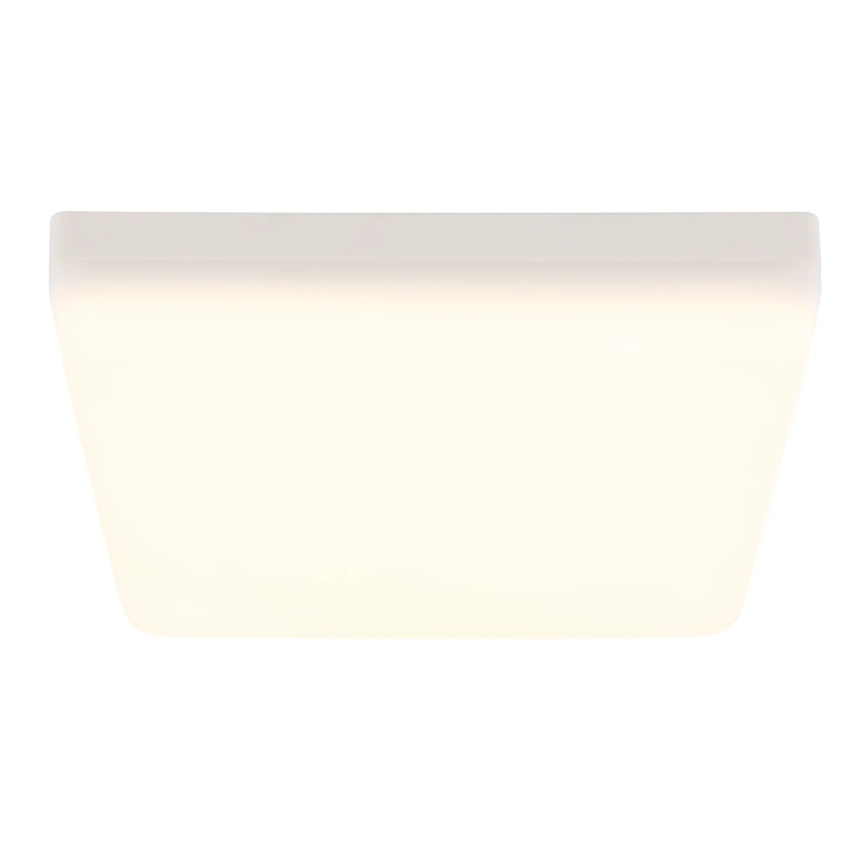 Globo - LED-Deckenleuchte LED/12W/230V 4000K 22x22 cm weiß