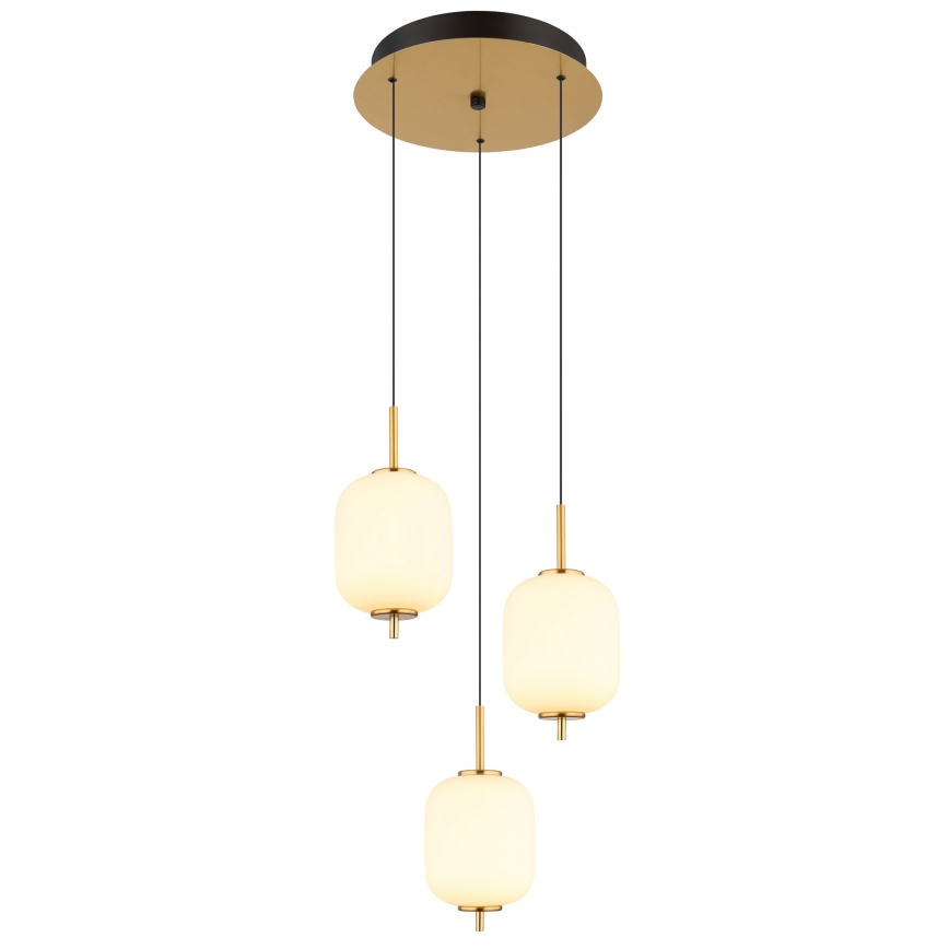 Globo - LED-Hängeleuchte LED/20W/230V