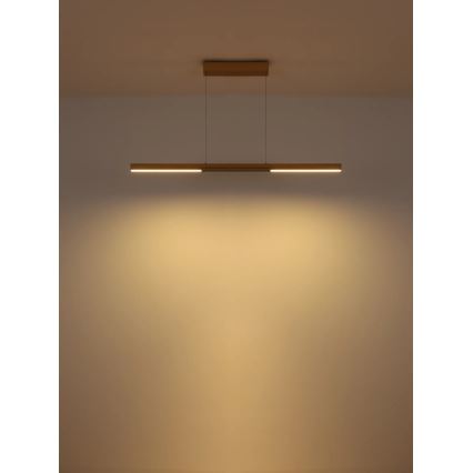Globo - LED-Pendelleuchte an Seil LED/24W/230V 3000K