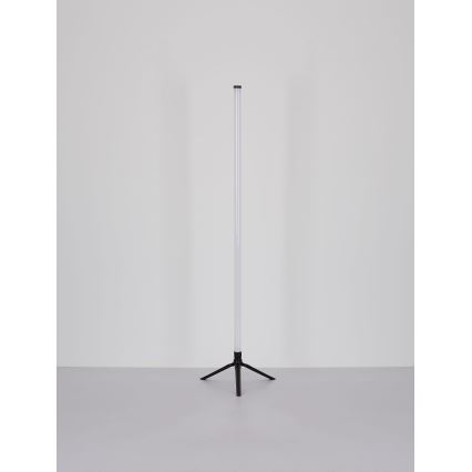 Globo - Dimmbare LED-RGB-Stehleuchte LED/7W/5V + Fernbedienung