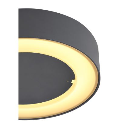 Globo - LED Auβen-Deckenleuchte LED/12W/230V IP54