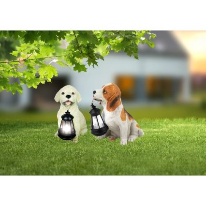 Globo - LED Solarleuchte LED/0,06W/3V IP44 600 mAh