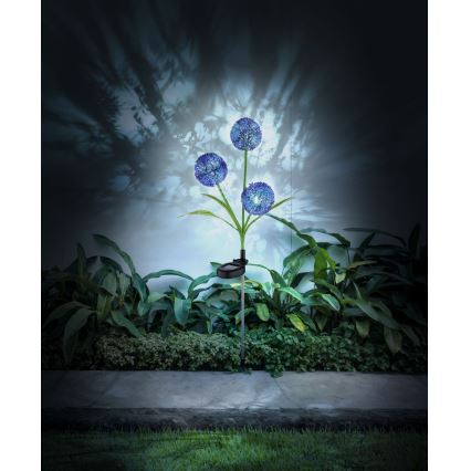 Globo - LED-Solarleuchte 3xLED/0,06W/3V 5000K IP44 violett