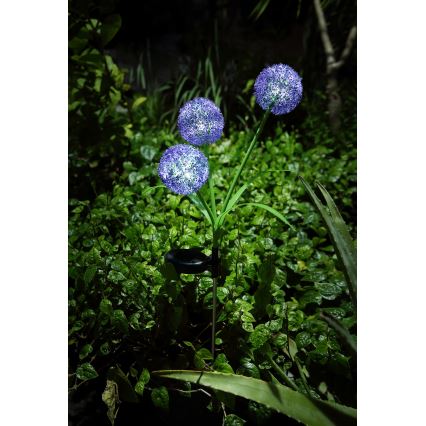 Globo - LED-Solarleuchte 3xLED/0,06W/3V 5000K IP44 violett