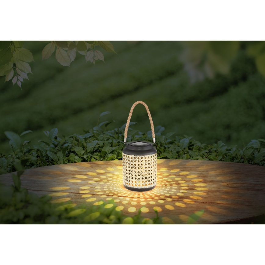 Globo - LED-Solarleuchte LED/0,06W/3V 3000K IP44 Bambus
